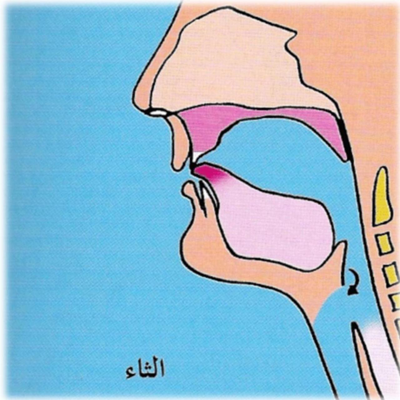 كلمات فيها حرف الثاء - اجدد الكلمات التي تحتوي علي حرف الثاء 2405 9