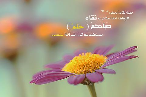 اريد صور صباح الخير - صباح الخير لعله خير 1061 4