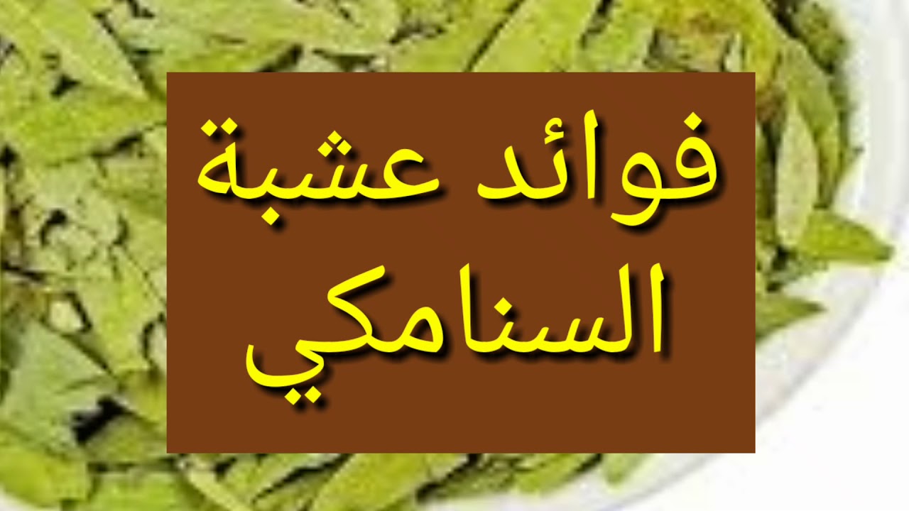 السنامكي لتنظيف البطن , استخدام السنامكي لتنظيف القولون