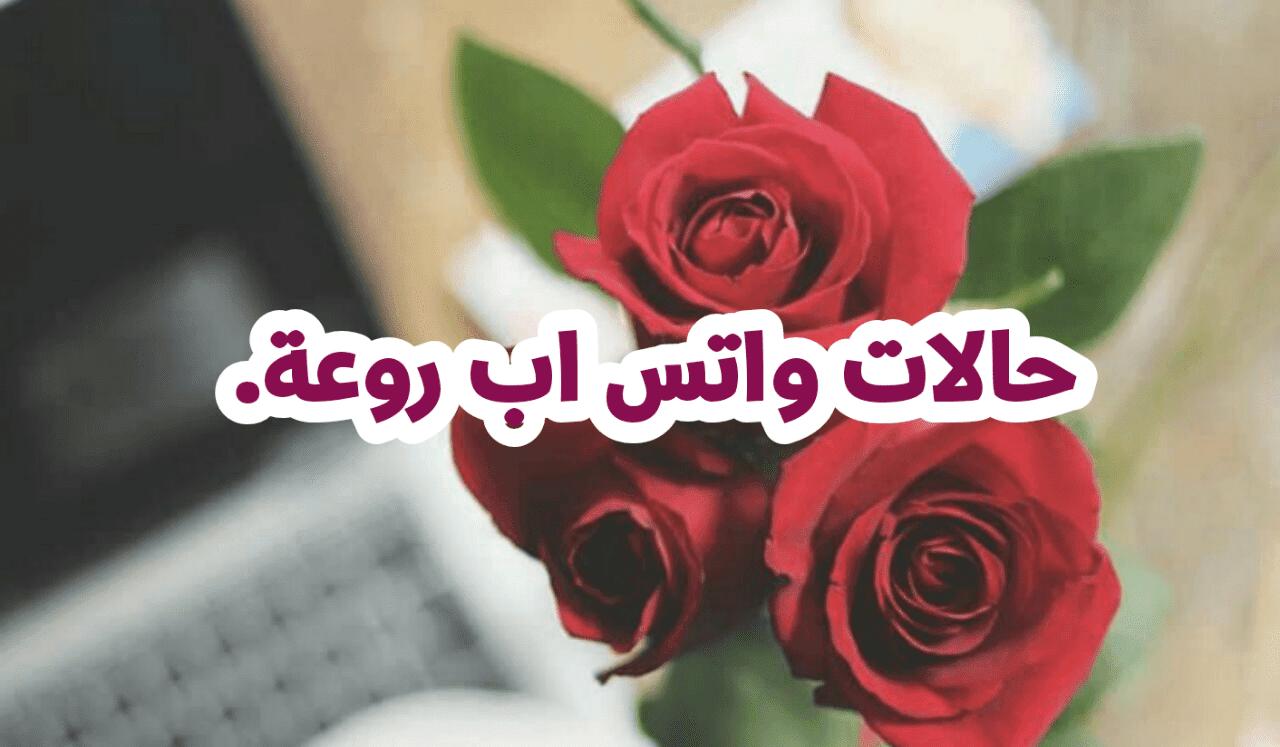 حالات واتس اب دلع , اجمل حالات للواتس اب