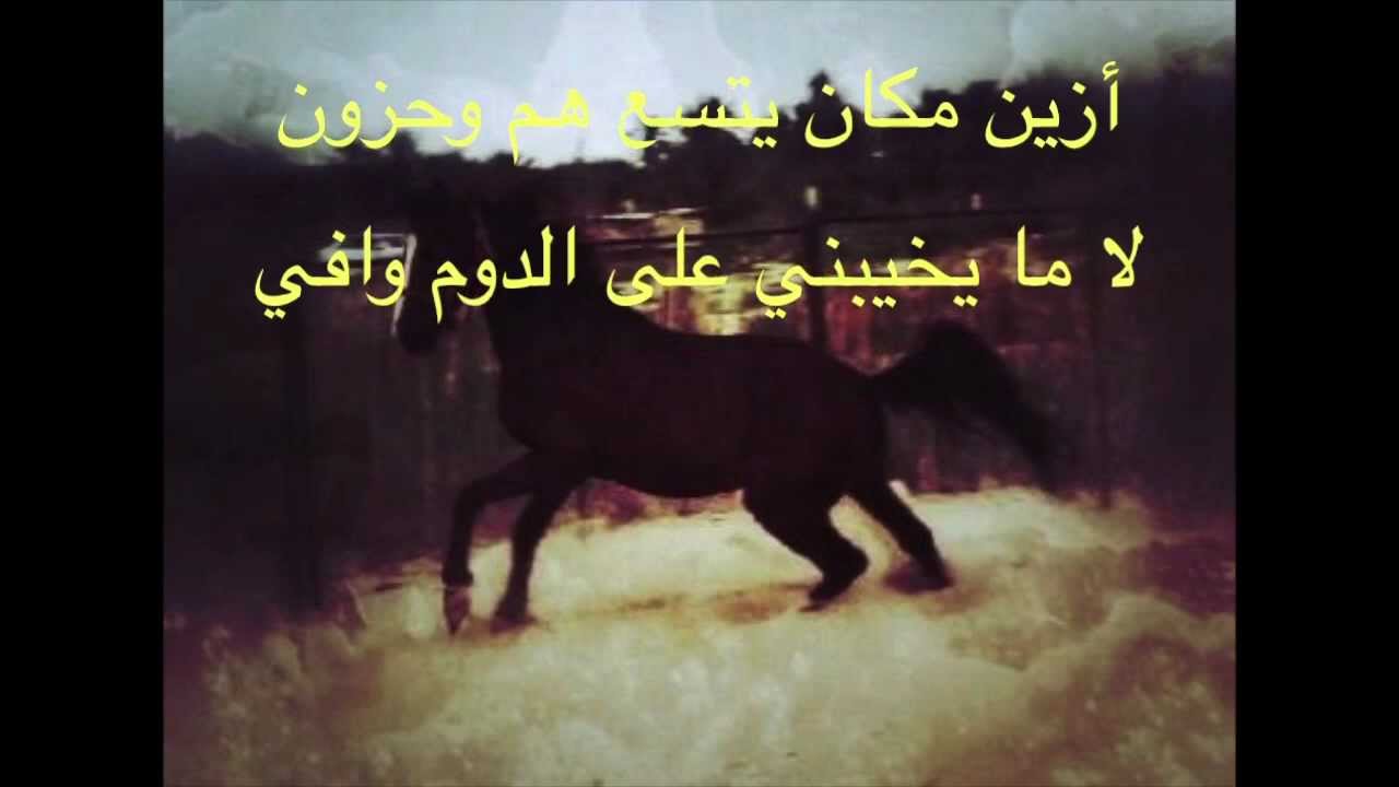 شعر عن الخيول العربية - حكم وامثال عن الخيل العربي الاصيل 2357 11