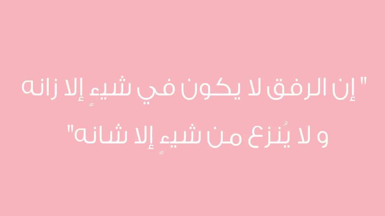 عبارات عن التسامح - تسامح مع نفسك ومع الاخرين 1241 10