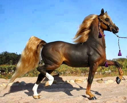 صور خيل اصيل , الخيل الاصيل ما اجمله