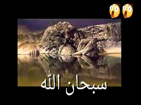 الصورة التي ادهشت العالم - اروع الصور التي ادهشت العالم 3082 9