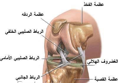 علاج طبيعي للركبة - بعيدا عن المراهم عالج الام الركبه بطرق اخرى 425 2