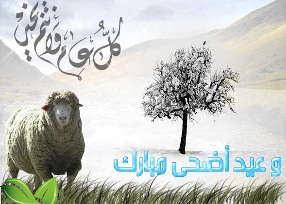 تهاني عيد الاضحى للاصدقاء - انشر الحب بين اصدقائك بافضل تهانى عيد الاضحى 4086 5