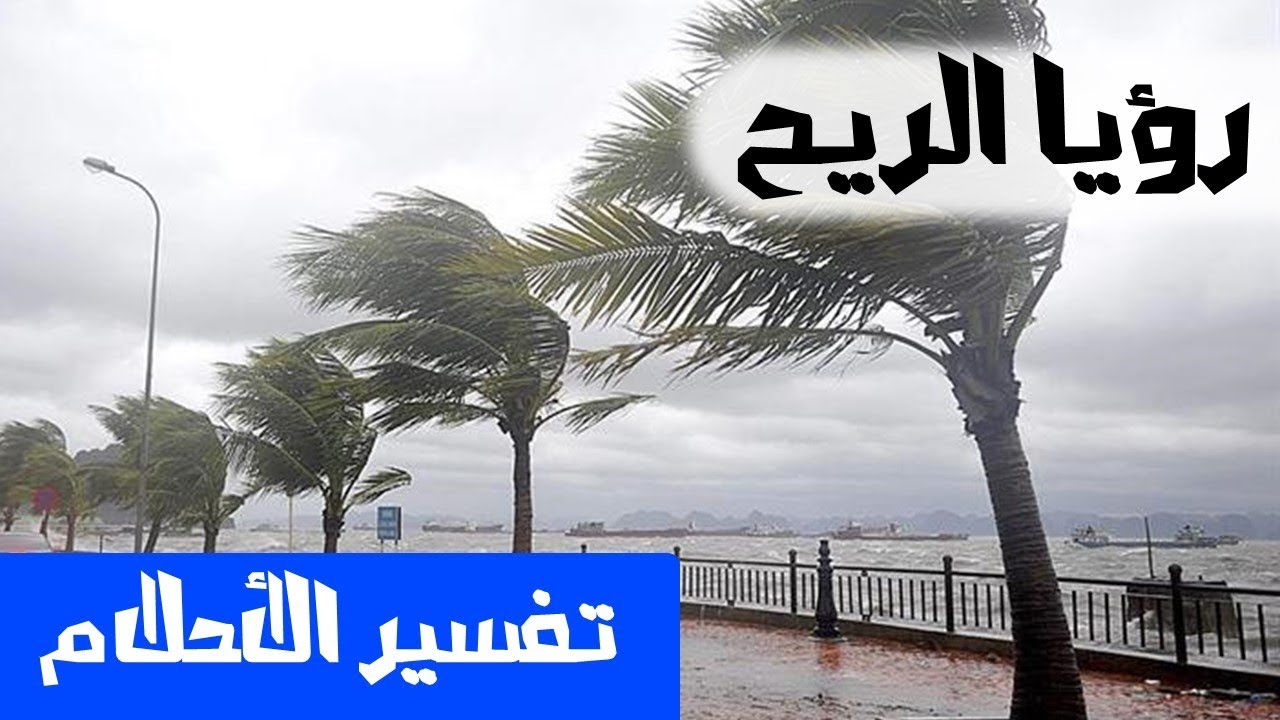 تفسير الاحلام الرياح - الدلالات المتعلقة برؤية الرياح فى الحلم 2977 3