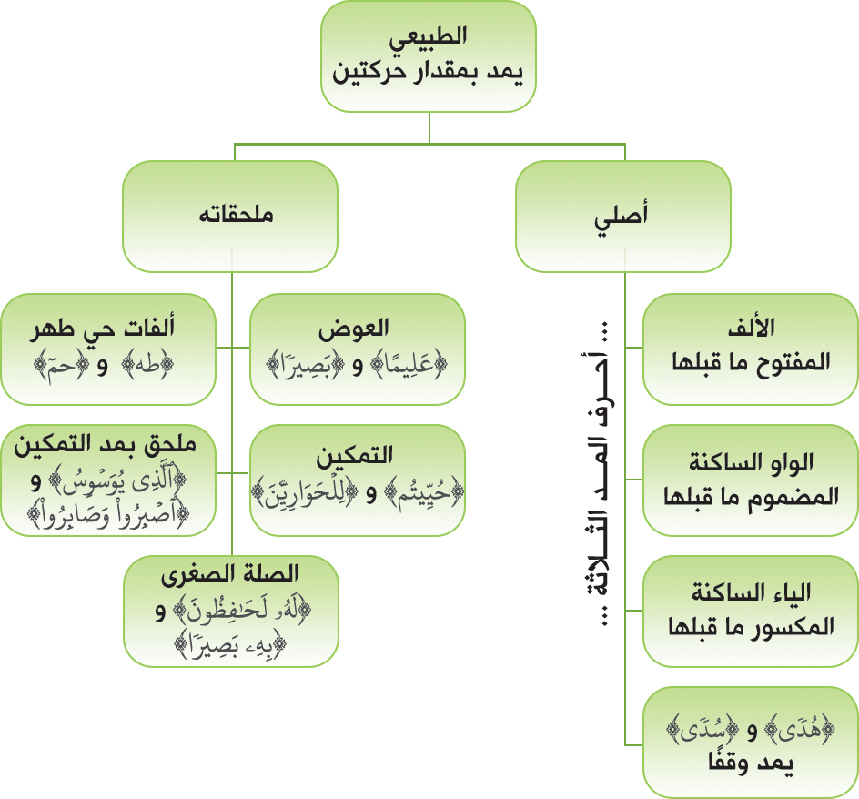 كلمات فيها مد بالياء - علمى طفلك المد بالياء بكلمات وتمارين بسيطه 169 1