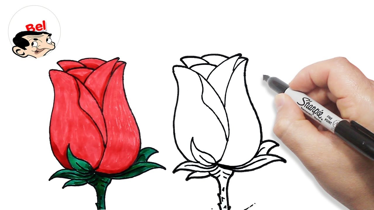 وردة جورية رسم وردة بالرصاص